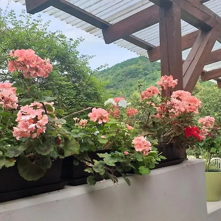 Moselina 아파트