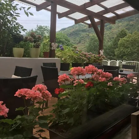 Apartment Moselina