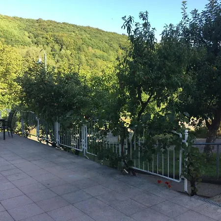 Moselina Apartment Sankt Aldegund
