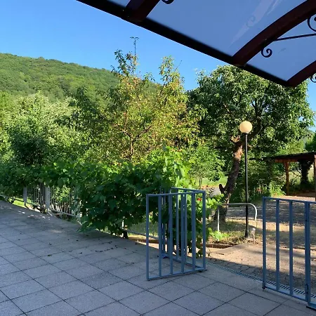 Moselina Apartment Sankt Aldegund